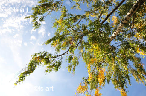 ATMOSPHÄRE - Atmosphere ATMOSPHÄRE - Atmosphere