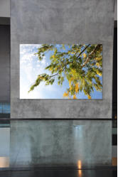 ATMOSPHÄRE ATMOSPHÄRE